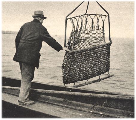Klik voor de volgende foto