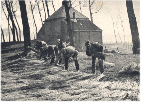 Klik voor de volgende foto