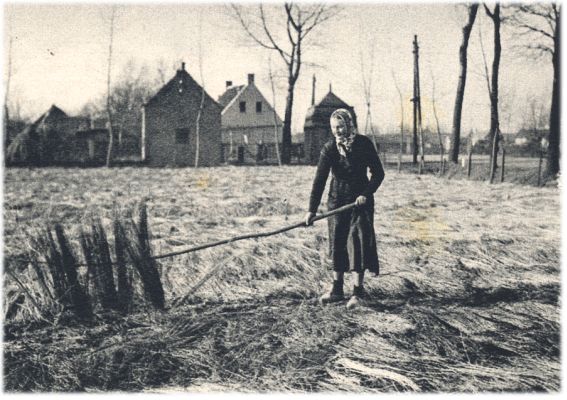 Klik voor de volgende foto