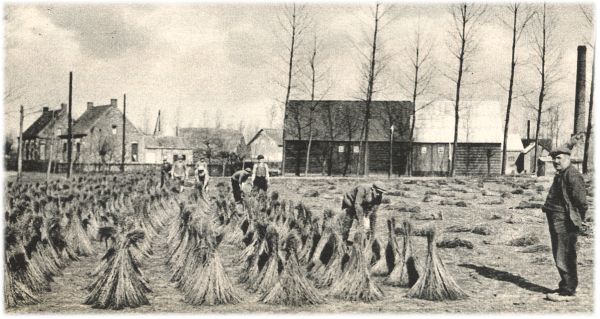 Klik voor de volgende foto
