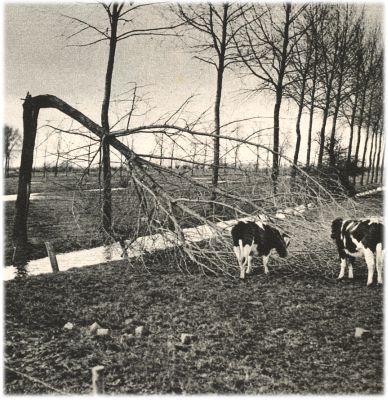 Klik voor de volgende foto