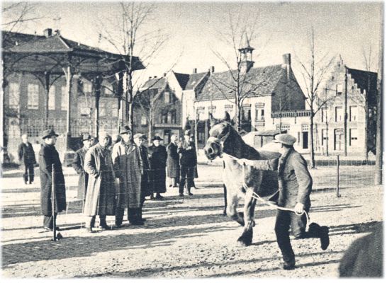 Klik voor de volgende foto