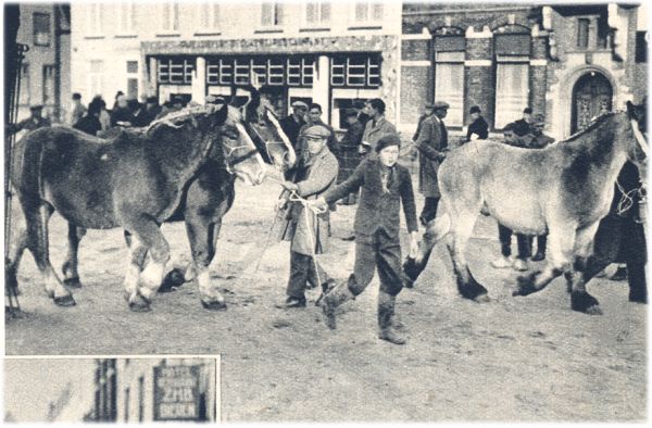 Klik voor de volgende foto