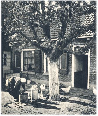 Klik voor de volgende foto