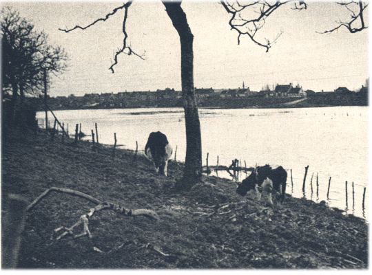 Klik voor de volgende foto