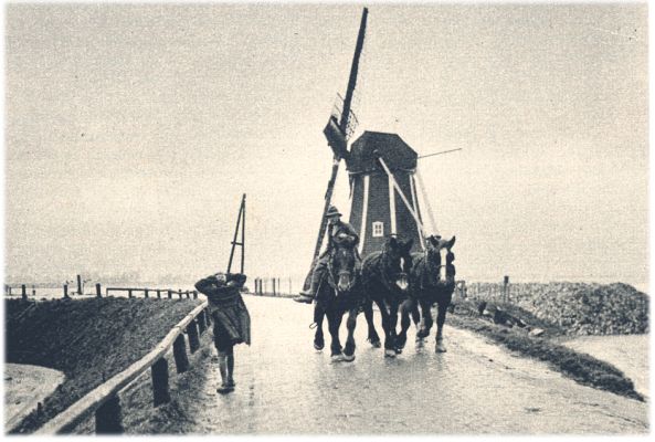 Klik voor de volgende foto