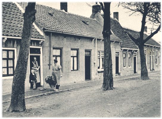 Klik voor de volgende foto