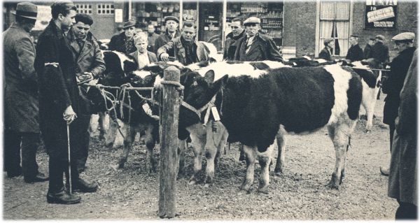 Klik voor de volgende foto