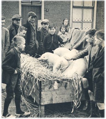 Klik voor de volgende foto