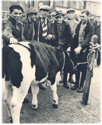 Klik voor de volgende foto