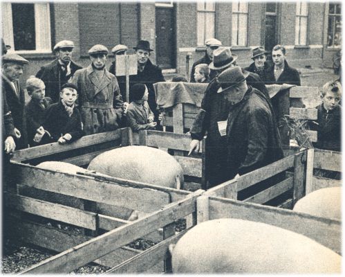 Klik voor de volgende foto
