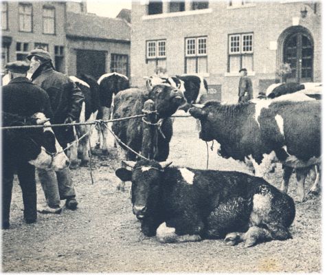 Klik voor de volgende foto
