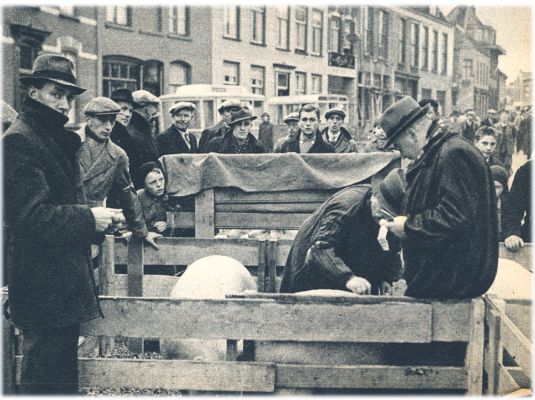 Klik voor de volgende foto