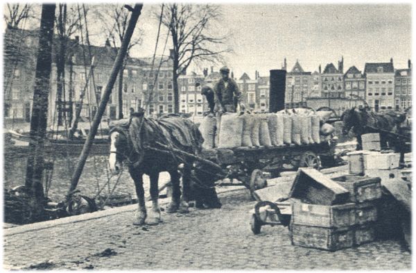 Klik voor de volgende foto
