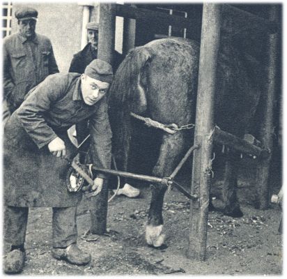 Klik voor de volgende foto