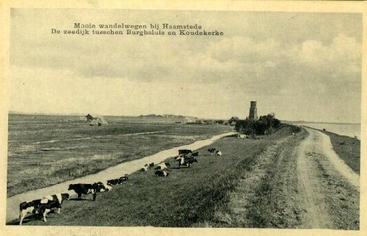Klik voor de volgende foto