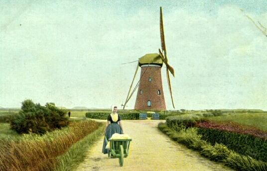 Klik voor de volgende foto