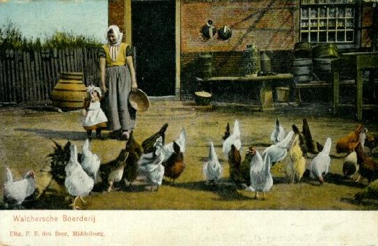 Klik voor de volgende foto