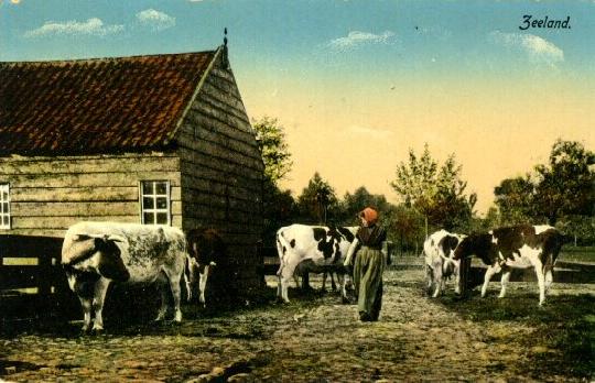 Klik voor de volgende foto